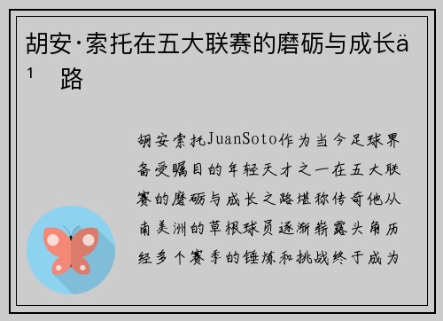 胡安·索托在五大联赛的磨砺与成长之路 胡安·索托在五大联赛的磨砺与成长之路